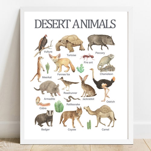 Desert Animals Educational Printable Wall Art Learning Home - Etsy Desert Animals Educational Printable Wall Art Learning Home - Etsy