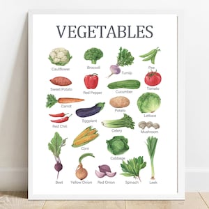 Gráfico de vegetais educacionais para impressão em sala de aula, aprendizagem em casa, pôster para pré-escola, impressão para educação domiciliar, decoração de berçário para impressão em aquarela