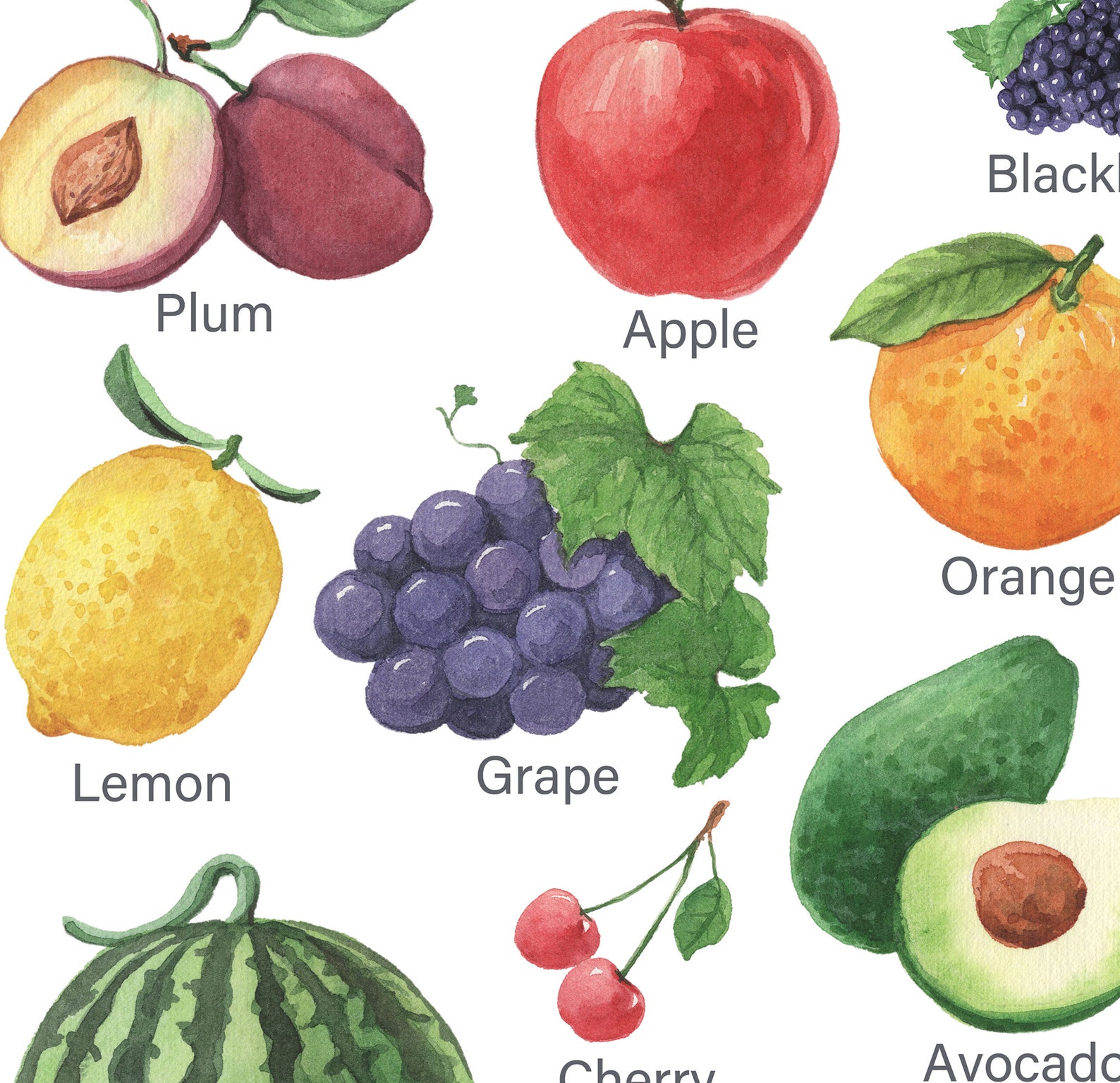 Set of 3 Vegetables Fruits Fam Chart Educational Posters Etsy