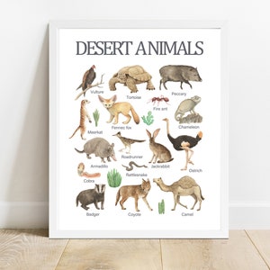 Animales del desierto, arte de pared imprimible educativo, escuela de aprendizaje en casa, cartel de preescolar, impresión de escuela en casa, decoración de guardería imprimible en acuarela