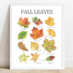 Herbst Blätter Drucke, druckbare Wandkunst, lernen Hausschule, Vorschul Poster, Hausschule Dekor, Klassenzimmer Dekor