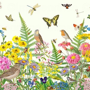 Clipart Summer Garden con fiori, uccelli e insetti, 42 file PNG, illustrazioni vintage, download istantaneo