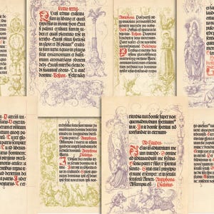 Peut inclure: Ensemble de pages manuscrites anciennes, avec calligraphie et illustrations ornées. Les pages présentent du texte en latin, avec des bordures décoratives et des accents rouges et violets, pour une esthétique vintage.