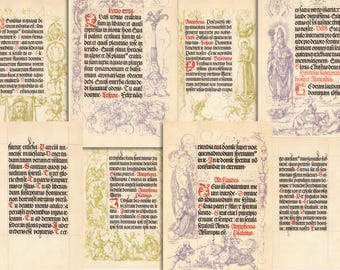 May include: A collection of antique manuscript pages, featuring ornate calligraphy and illustrations. The pages display text in Latin, with decorative borders and red and purple accents, creating a vintage aesthetic.