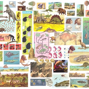 Hoja de collage digital sobre la evolución: ilustraciones antiguas de dinosaurios, el hombre primitivo y pinturas rupestres para proyectos escolares, diarios basura, etc.