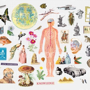 K&ouml;nnte beinhalten: Eine Collage aus Bildern mit einem menschlichen Nervensystem, einem Pfau, einem Pilz, einem Frosch, einem Schmetterling, einem Mond, einem Auto, einem Buch, einem Mikroskop, einer Kamera, einem Vogel, einer Blume, einem Fisch, einer Pyramide, einem Hei&szlig;luftballon, einem Mann, einer Frau und dem Wort "WISSEN".