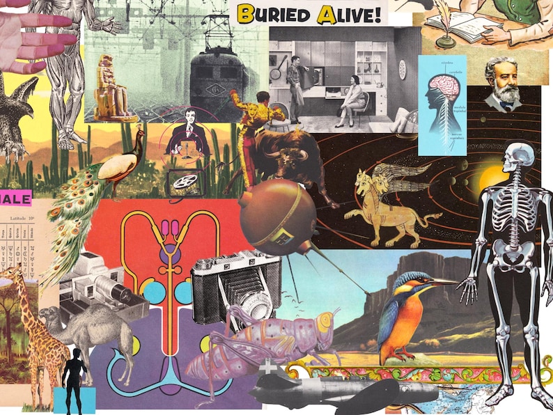May include: A collage featuring diverse vintage imagery, including anatomical illustrations, a skeleton, a train, a bullfighter, and a camera. The text "Buried Alive!" is prominently displayed. The overall aesthetic is retro and surreal.