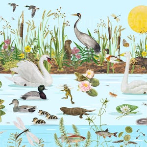 Teichleben Clip Art mit Fröschen, Wasserpflanzen, Insekten, Bibern, etc, Digitale Dateien für Scrapbooking, Collage, Schulprojekte und mehr