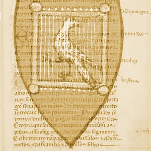 Op de afbeelding: Een pagina uit een antiek manuscript, met een schildvormige illustratie en tekst in sepiatinten. De tekst is in gotische letters en de algehele esthetiek is historisch.