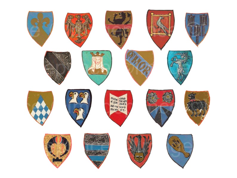 Op de afbeelding: Een verzameling van 16 heraldische schilden, elk met unieke ontwerpen en kleuren. De schilden tonen verschillende symbolen, waaronder adelaars, leeuwen en bloemmotieven, tegen achtergronden van blauw, rood, goud en groen. De schilden zijn gerangschikt op een witte achtergrond.