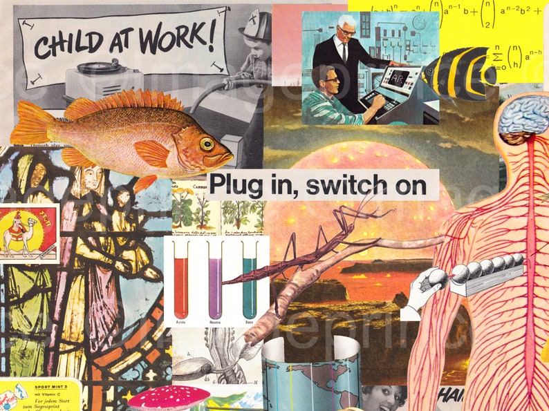 K&ouml;nnte beinhalten: Eine Collage aus Bildern mit einem roten Fisch, einem Buntglasfenster, einer Stabheuschrecke, einem menschlichen Anatomie-Diagramm, einem Becher mit farbigen Fl&uuml;ssigkeiten und einem gelben Schild mit dem Text "CHILD AT WORK!" und dem Text "Plug in, switch on".