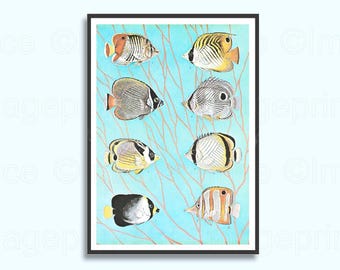 May include: A framed rectangular print featuring eight distinct butterflyfish species arranged in two columns against a light blue background with a delicate, branching coral-like pattern in a soft orange hue. Each fish displays unique markings.