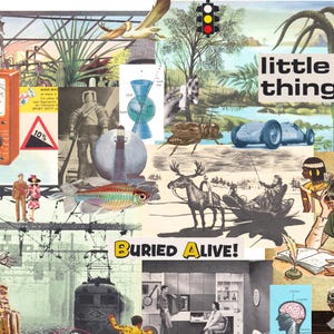 May include: A collage of vintage illustrations featuring a variety of images, including a retro orange meter, a spaceman, a fish, a race car, and the text "little things" and "Buried Alive!"