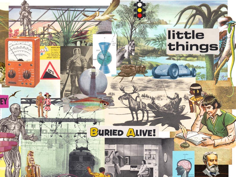 May include: A collage of vintage illustrations featuring a variety of images, including a retro orange meter, a spaceman, a fish, a race car, and the text "little things" and "Buried Alive!"