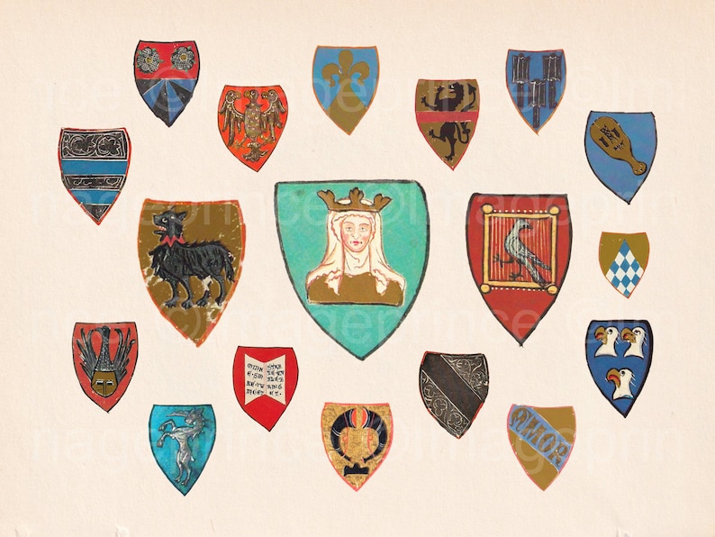 Op de afbeelding: Een verzameling kleurrijke middeleeuwse heraldische schilden, elk met unieke ontwerpen en symbolen. De schilden hebben verschillende kleuren, waaronder rood, blauw, goud en groen, en tonen dieren, bloempatronen en andere heraldische elementen.