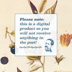 May include: A vintage botanical illustration with a text overlay that reads "Please note: this is a digital product so you will not receive anything in the post!" The illustration features a plant with leaves, flowers, and berries. A man's portrait is in the lower right corner of the text box.