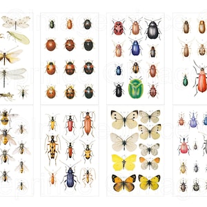Feuilles de collage d&#39;insectes avec des papillons, des coccinelles, des coléoptères, des abeilles, des cafards - Téléchargement instantané pour scrapbooking, collage, journaux indésirables