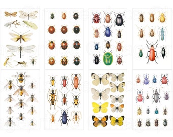 Insect collage sheets with butterflies, ladybugs, beetles, bees, roaches - Instant Download for Scrapbooking, Collage, Junk Journals