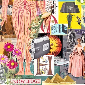 K&ouml;nnte beinhalten: Eine Collage aus Bildern mit einem Pfau, einer Sonne, einer Kamera, einem Diagramm des menschlichen K&ouml;rpers, einem Mann in einem Raumanzug, einer Frau in einem rosa Kleid, einem Pilz und dem Wort "WISSEN".