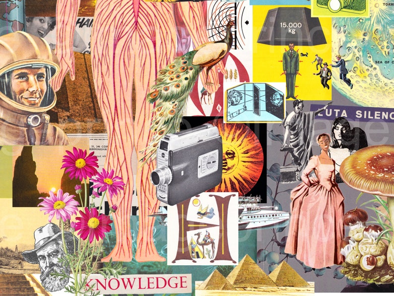 K&ouml;nnte beinhalten: Eine Collage aus Bildern mit einem Pfau, einer Sonne, einer Kamera, einem Diagramm des menschlichen K&ouml;rpers, einem Mann in einem Raumanzug, einer Frau in einem rosa Kleid, einem Pilz und dem Wort "WISSEN".
