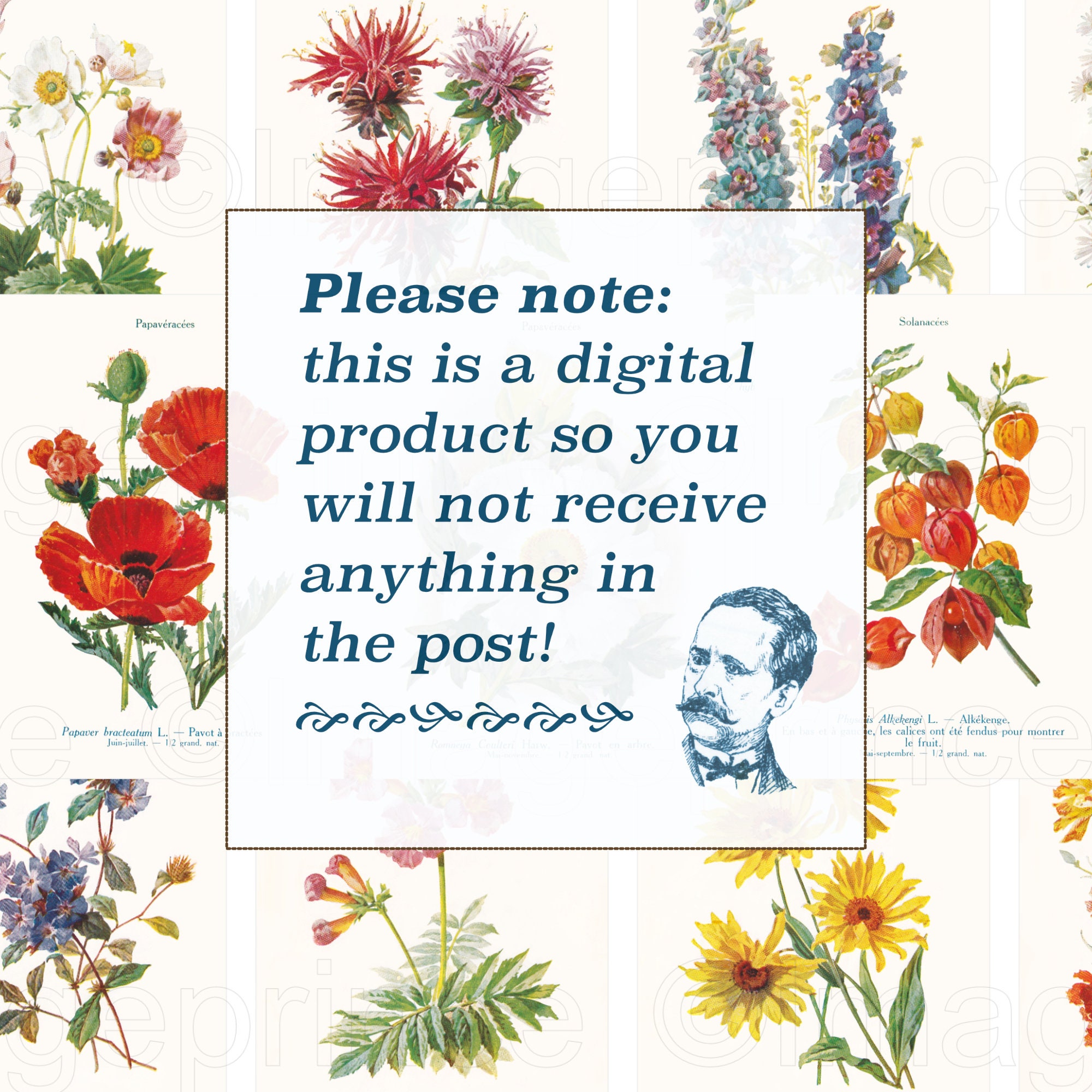 Antique Flower Illustrations, Printable Botanical Pages Antique Flower Illustrations, Printable Botanical Pages