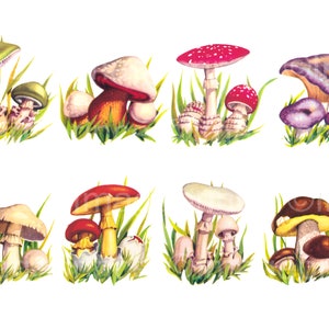 Vintage mushroom clipart, Instant Download for Digital Scrapbooking, Collage, Junk Journal