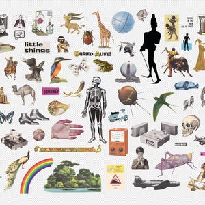 May include: A collage of vintage illustrations and cutouts, featuring a diverse array of images. Notable elements include a camera, a giraffe, a skeleton, a rainbow, and text that reads "little things" and "Buried Alive!"