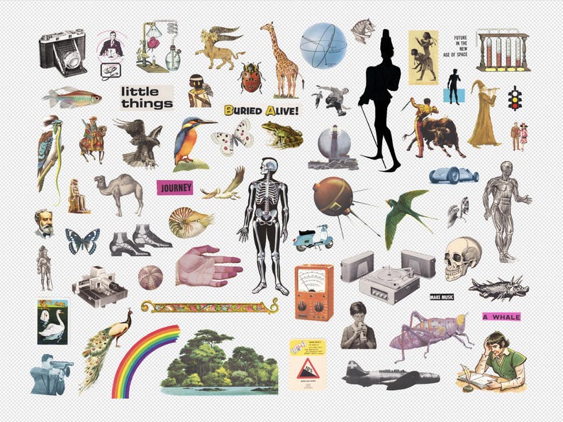 May include: A collage of vintage illustrations and cutouts, featuring a diverse array of images. Notable elements include a camera, a giraffe, a skeleton, a rainbow, and text that reads "little things" and "Buried Alive!"