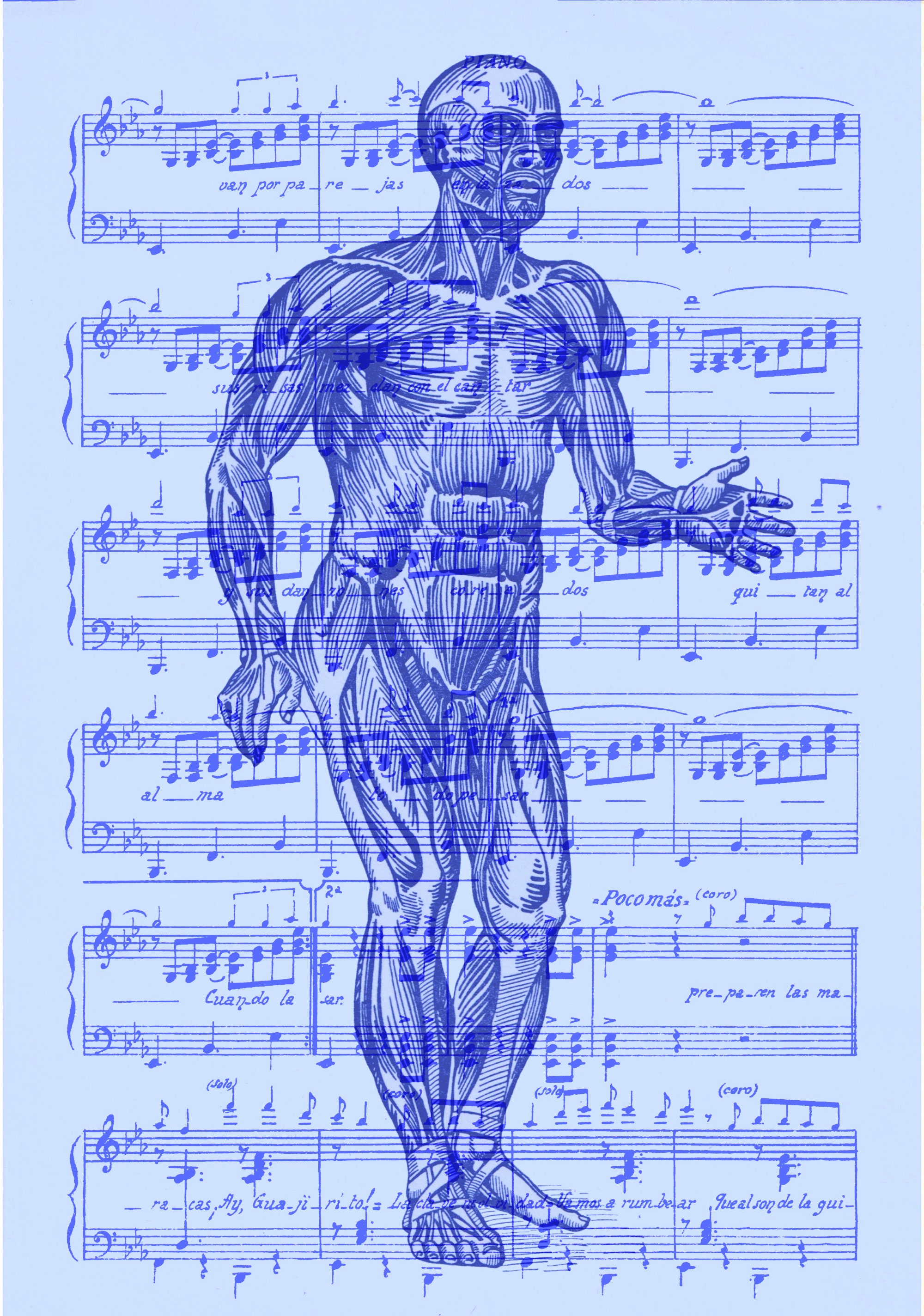Sheet Music Printable, Manuscript Pages, Digital Paper, Instant ...