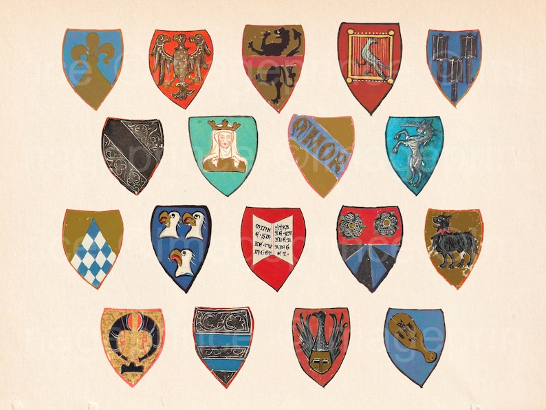 Op de afbeelding: Een verzameling kleurrijke heraldische schilden, elk met unieke ontwerpen en symbolen. De schilden hebben verschillende kleuren, waaronder blauw, rood, goud en groen, met afbeeldingen van adelaars, leeuwen en andere heraldische figuren. Het kunstwerk is waarschijnlijk uit een historische of middeleeuwse context.