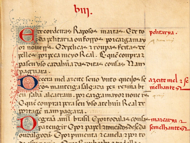 Medieval Script Pages Set of 5 Digital Paper With - Etsy