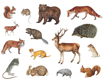 May include: Watercolor illustration of various forest animals, including a brown bear, a red fox, a deer, a squirrel, a beaver, a hedgehog, a rabbit, a badger, and a weasel. The animals are depicted in a realistic style and are set against a white background.
