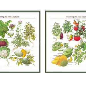 Vegetais para imprimir, conjunto de 2, decoração de parede de cozinha, download digital, gráfico botânico vintage, arte de parede de restaurante, presente para um cozinheiro