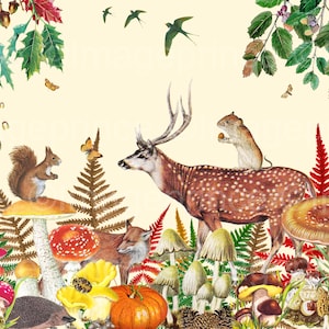 Herfst clipart set - paddenstoelen, dieren, pompoen, kastanjes, enz, 41 PNG-bestanden, vintage illustraties, Instant Download