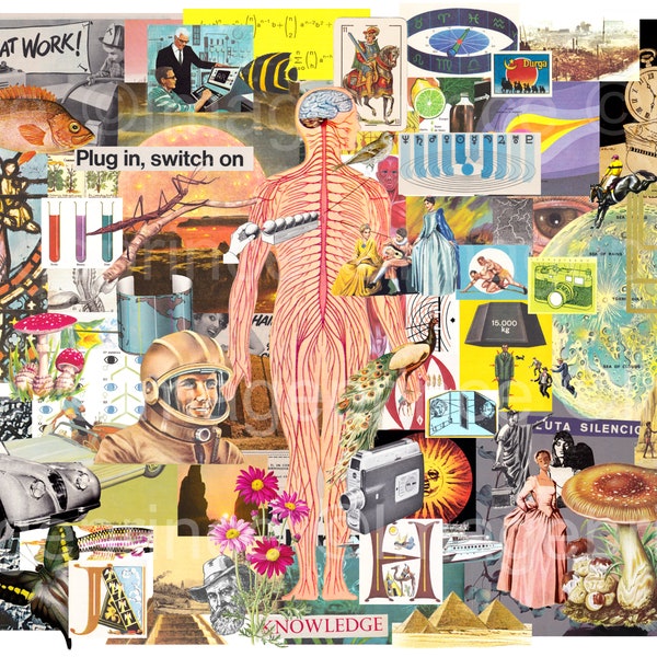 Kit de collage numérique - 90 images, illustrations vintage, fichiers JPG et PNG, personnes, nature, anatomie, science, etc.