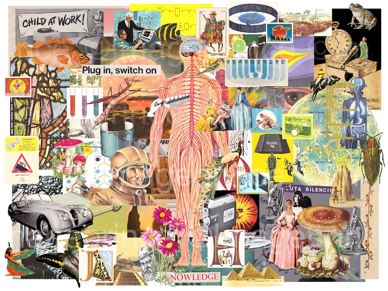 K&ouml;nnte beinhalten: Eine bunte Collage aus Bildern, darunter ein menschliches Nervensystem, ein Oldtimer, ein Pilz, ein Pfau, eine Uhr, ein Frosch, ein Schmetterling und das Wort "Wissen".