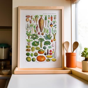 Vegetais antigos para impressão, decoração de parede de cozinha, Adolphe Millot, gráfico botânico, arte de parede de restaurante, tamanho A3 e A4, download digital