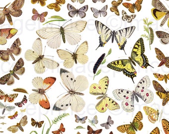 Vintage butterfly clipart, Instant Download for Digital Scrapbooking, Collage, Junk Journal