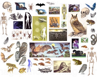 Spooky digital collage kit - vintage illustrations of bats, owls, spiders, skeletons and more for School Projects, Halloween, etc