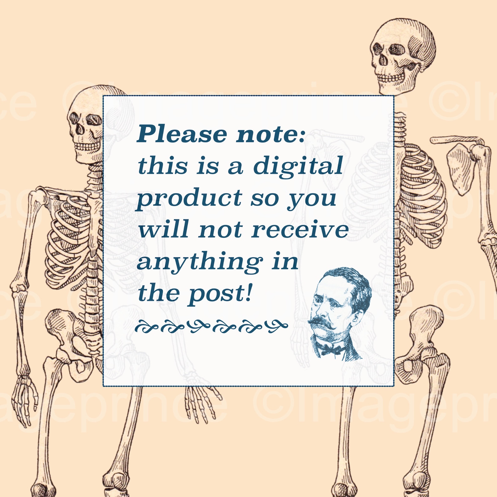 Antique Biology Posters, Human Skeleton and Skull Printables, Set of 4 ...