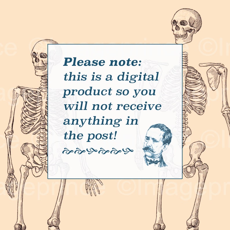 Antique Biology Posters, Human Skeleton and Skull Printables, Set of 4 ...
