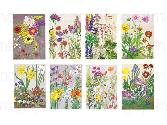 Vintage Botanical Prints Spring Flower Illustrations With | Etsy