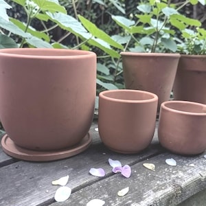 May include: A set of three ceramic mugs with a speckled, cream-colored glaze. Each mug features a different hand-painted floral design in shades of blue, green, and yellow. The mugs have a simple, modern shape.