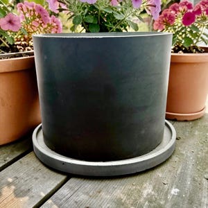 Concrete Planter with Drainage and Matching Tray | Deep Green Colored | Cement Pot for Succulents and Flowers | Unique Plant Gift | 6" x 5"
