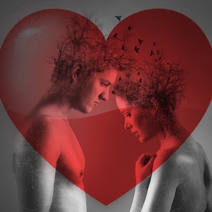 May include: A digital artwork featuring two people facing each other in profile, overlaid with a large red heart shape. Their heads are merged with bare tree branches and silhouettes of flying birds, set against a monochromatic gray background.