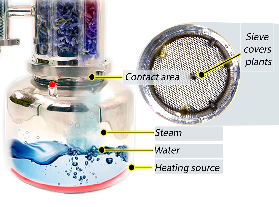 Essential oil extractor 5 L Distillation kit Herb distiller Etsy