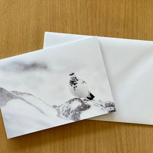 Lagopède, Cairngorms, carte de voeux vierge, impression photo de lagopède