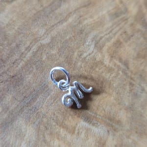 May include: A small, silver-colored charm in the shape of the letter "M". The charm has a loop at the top for attaching to a necklace or bracelet. The letter has a cursive, decorative design.