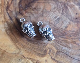 May include: Two silver-colored skull charms with detailed facial features and small loops for attaching to jewelry. The skulls are set against a warm, wooden background, creating a contrast between the metallic sheen and the natural wood grain.