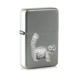 ppc01 Tabby Persische Katze auf winddichtem Flip Top Petrol Stern Marke Feuerzeug Nachfüllbar codef46 silber schwarz rot gold grün Farbwahl